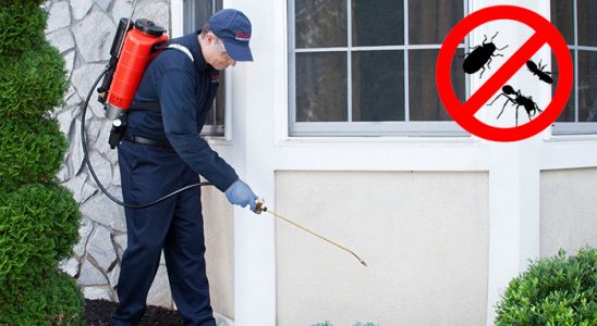 Bafra Tahtakurusu İlaçlama böcek ilaçlama ve haşere kontrolü — ilaclama-tr.com